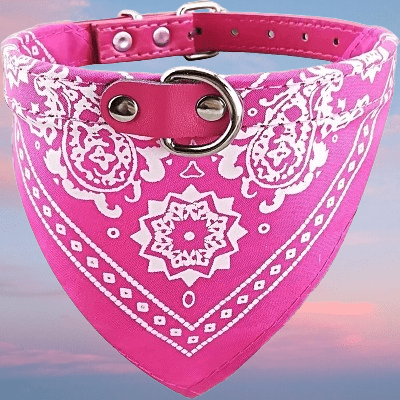 Collier Pour Chien - NewCatDogScarf™ - Rose - Reve de chienlecoledeschats14:1052Rose;200007763:201336100;5:361386M - suit 7 - 15kgRoseM - 7 - 15kgCollier Pour Chien - NewCatDogScarf™ - Rose