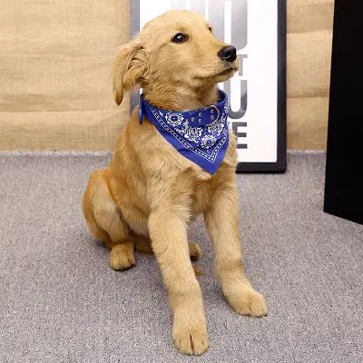 Collier Pour Chien - NewCatDogScarf™ - Bleu - Reve de chienlecoledeschats14:173Blue;200007763:201336100;5:361386M - suit 7 - 15kgBleuM - 7 - 15kgCollier Pour Chien - NewCatDogScarf™ - Bleu