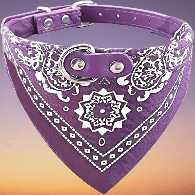 Collier Pour Chien - NewCatDogScarf™ - Mauve - Reve de chienlecoledeschats14:496Purple;200007763:201336100;5:361386M - suit 7 - 15kgMauveM - 7 - 15kgCollier Pour Chien - NewCatDogScarf™ - Mauve