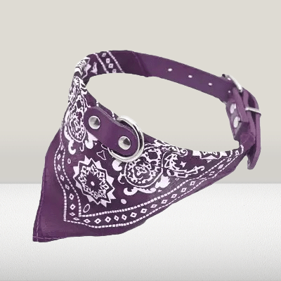 Collier Pour Chien - NewCatDogScarf™ - Mauve - Reve de chienlecoledeschats14:496Purple;200007763:201336100;5:361386M - suit 7 - 15kgMauveM - 7 - 15kgCollier Pour Chien - NewCatDogScarf™ - Mauve