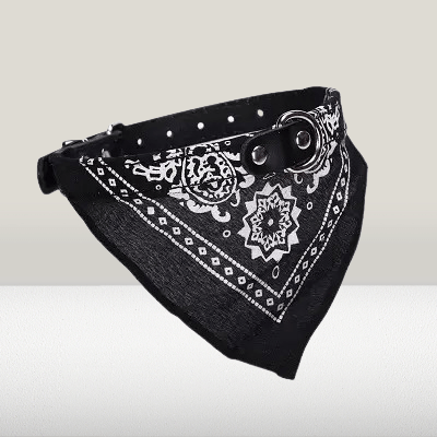 Collier Pour Chien - NewCatDogScarf™ - Noir - Reve de chienlecoledeschats14:193Black;200007763:201336100;5:361386M - suit 7 - 15kgNoirM - 7 - 15kgCollier Pour Chien - NewCatDogScarf™ - Noir