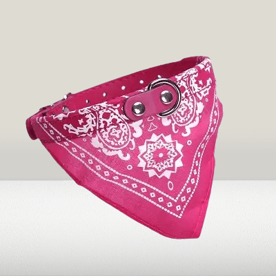 Collier Pour Chien - NewCatDogScarf™ - Rose - Reve de chienlecoledeschats14:1052Rose;200007763:201336100;5:361386M - suit 7 - 15kgRoseM - 7 - 15kgCollier Pour Chien - NewCatDogScarf™ - Rose