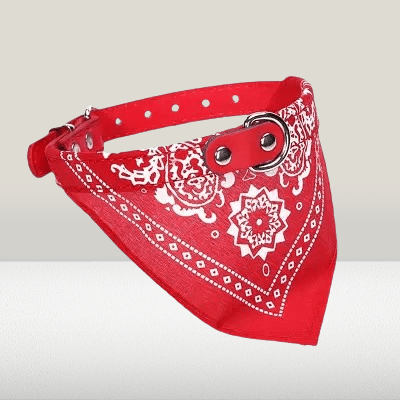 Collier Pour Chien - NewCatDogScarf™ - Rouge - Reve de chienlecoledeschats14:10Red;200007763:201336100;5:361386M - suit 7 - 15kgRougeM - 7 - 15kgCollier Pour Chien - NewCatDogScarf™ - Rouge