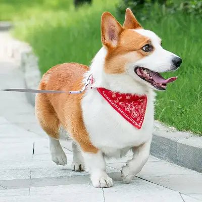 Collier Pour Chien - NewCatDogScarf™ - Rouge - Reve de chienlecoledeschats14:10Red;200007763:201336100;5:361386M - suit 7 - 15kgRougeM - 7 - 15kgCollier Pour Chien - NewCatDogScarf™ - Rouge