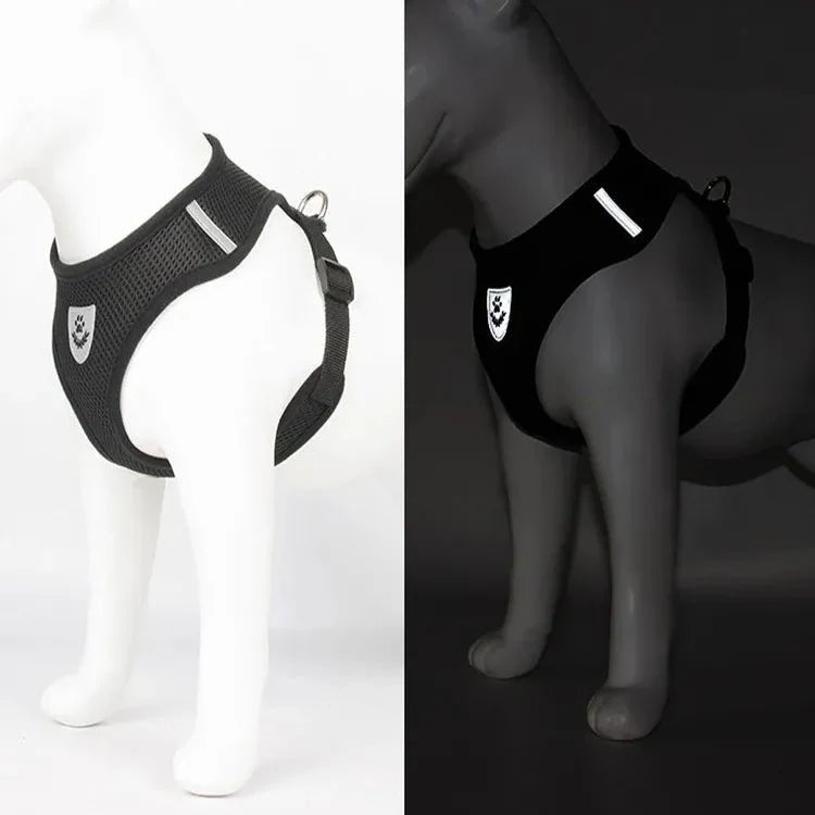 Harnais Petit Chien - DogHarnessLeadLeash™ - Noir - Reve de chienlecoledeschats14:193;5:361386NoirMHarnais Petit Chien - DogHarnessLeadLeash™ - Noir