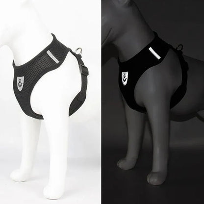 Harnais Petit Chien - DogHarnessLeadLeash™ - Noir - Reve de chienlecoledeschats14:193;5:361386NoirMHarnais Petit Chien - DogHarnessLeadLeash™ - Noir