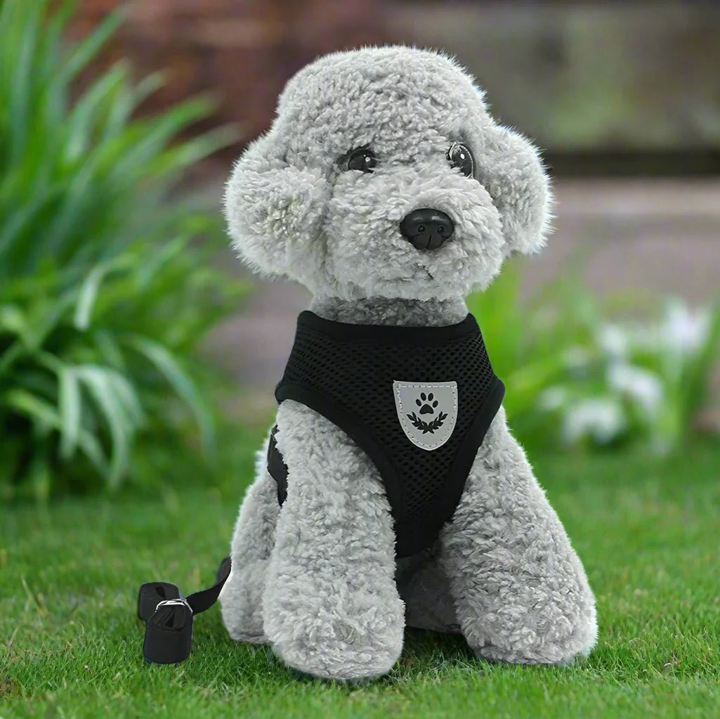 Harnais Petit Chien - DogHarnessLeadLeash™ - Noir - Reve de chienlecoledeschats14:193;5:361386NoirMHarnais Petit Chien - DogHarnessLeadLeash™ - Noir