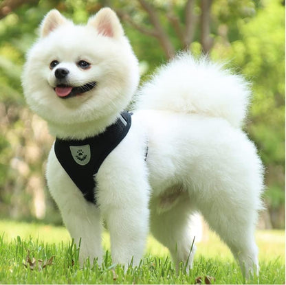 Harnais Petit Chien - DogHarnessLeadLeash™ - Noir - Reve de chienlecoledeschats14:193;5:361386NoirMHarnais Petit Chien - DogHarnessLeadLeash™ - Noir