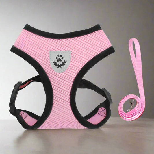Harnais Petit Chien - DogHarnessLeadLeash™ - Rose - Reve de chienlecoledeschats14:1052;5:361386RoseMHarnais Petit Chien - DogHarnessLeadLeash™ - Rose
