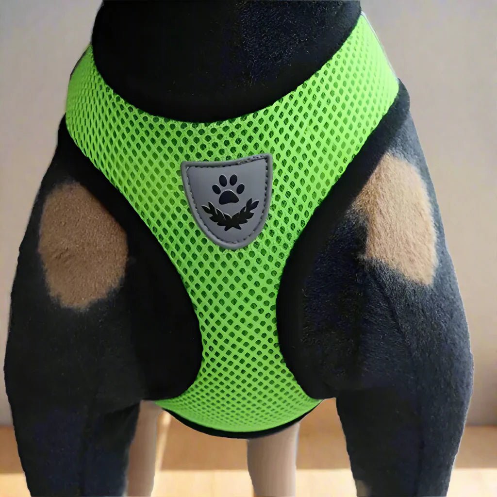 Harnais Petit Chien - DogHarnessLeadLeash™ - Vert - Reve de chienlecoledeschats14:175;5:361386VertMHarnais Petit Chien - DogHarnessLeadLeash™ - Vert