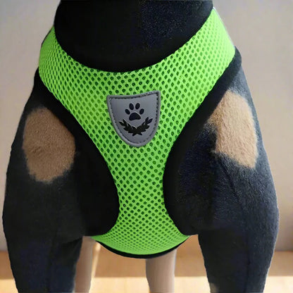 Harnais Petit Chien - DogHarnessLeadLeash™ - Vert - Reve de chienlecoledeschats14:175;5:361386VertMHarnais Petit Chien - DogHarnessLeadLeash™ - Vert
