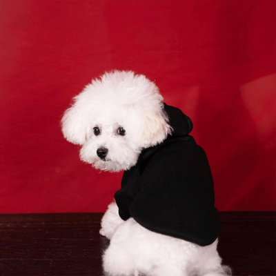 Manteau pour Chien - DogHoodies™ - Noir - Reve de chienlecoledeschats14:193;5:361385L 3 - 4.2kgNoirManteau pour Chien - DogHoodies™ - Noir