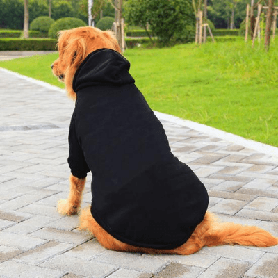 Manteau pour Chien - DogHoodies™ - Noir - Reve de chienlecoledeschats14:193;5:361385L 3 - 4.2kgNoirManteau pour Chien - DogHoodies™ - Noir